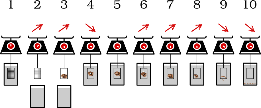 lab-steps-scales-explanation.png
