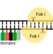 Genomic bibliographic references